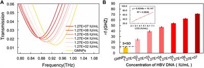 Flexible Terahertz Metamaterial Biosensor for Ultra-Sensitive Detection of Hepatitis B Viral DNA Based on the Metal-Enhanced Sandwich Assay